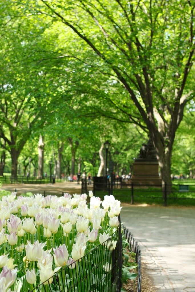 Explore the 15 best walks in NYC, from scenic waterfronts to historic neighborhoods. Explore iconic parks, hidden gems, and cultural hotspots on foot! NYC Walks, Night Walks NYC, Late Night Walks In NYC, Best Walks In NYC, Morning Walks NYC, Best Hikes Near NYC, Hikes Near NYC, Hiking In NYC, Hiking Trails Near NYC, Walking In NYC, Girls Walking NYC, Walking In NYC At Night, Walking In New York Aesthetic, Walking In New York, Walking In The Rain In New York