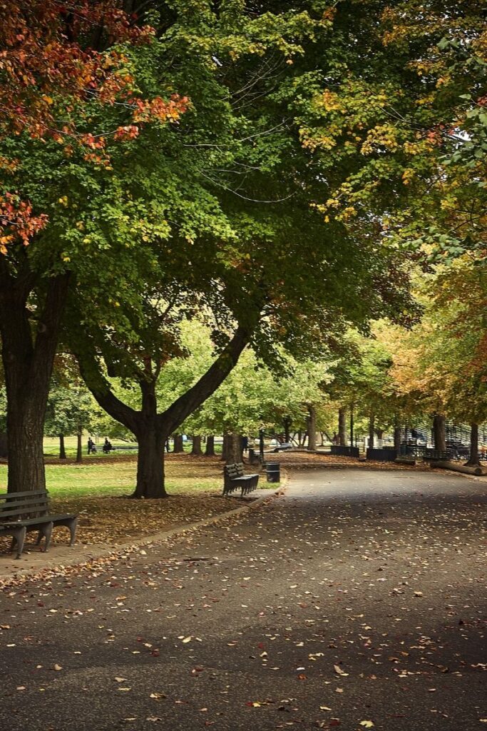 Explore the 15 best walks in NYC, from scenic waterfronts to historic neighborhoods. Explore iconic parks, hidden gems, and cultural hotspots on foot! NYC Walks, Night Walks NYC, Late Night Walks In NYC, Best Walks In NYC, Morning Walks NYC, Best Hikes Near NYC, Hikes Near NYC, Hiking In NYC, Hiking Trails Near NYC, Walking In NYC, Girls Walking NYC, Walking In NYC At Night, Walking In New York Aesthetic, Walking In New York, Walking In The Rain In New York