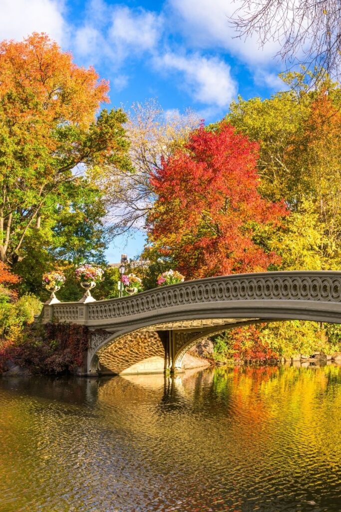 Explore the 15 best walks in NYC, from scenic waterfronts to historic neighborhoods. Explore iconic parks, hidden gems, and cultural hotspots on foot! NYC Walks, Night Walks NYC, Late Night Walks In NYC, Best Walks In NYC, Morning Walks NYC, Best Hikes Near NYC, Hikes Near NYC, Hiking In NYC, Hiking Trails Near NYC, Walking In NYC, Girls Walking NYC, Walking In NYC At Night, Walking In New York Aesthetic, Walking In New York, Walking In The Rain In New York