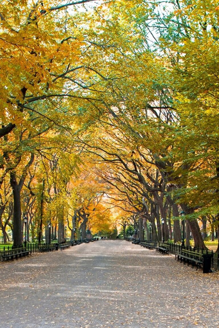 Explore the 15 best walks in NYC, from scenic waterfronts to historic neighborhoods. Explore iconic parks, hidden gems, and cultural hotspots on foot! NYC Walks, Night Walks NYC, Late Night Walks In NYC, Best Walks In NYC, Morning Walks NYC, Best Hikes Near NYC, Hikes Near NYC, Hiking In NYC, Hiking Trails Near NYC, Walking In NYC, Girls Walking NYC, Walking In NYC At Night, Walking In New York Aesthetic, Walking In New York, Walking In The Rain In New York