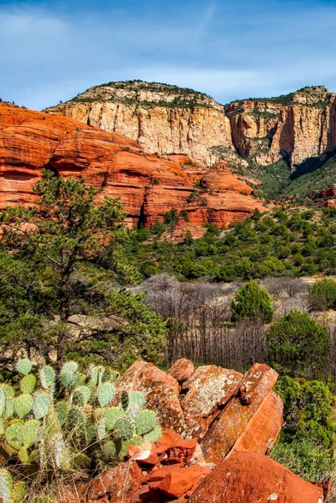 Explore the 15 best walks in Phoenix, Arizona, featuring scenic trails, desert landscapes, and iconic viewpoints. Whether you're a casual walker or a seasoned hiker, find the perfect route for your next adventure! Phoenix Hikes, Hikes In Phoenix Arizona, Phoenix Arizona Hikes, Easy Hikes In Phoenix Arizona, Best Hikes Near Phoenix AZ, Best Hikes In Phoenix Arizona