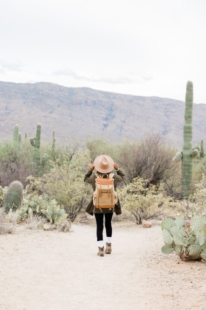 Explore the 15 best walks in Phoenix, Arizona, featuring scenic trails, desert landscapes, and iconic viewpoints. Whether you're a casual walker or a seasoned hiker, find the perfect route for your next adventure! Phoenix Hikes, Hikes In Phoenix Arizona, Phoenix Arizona Hikes, Easy Hikes In Phoenix Arizona, Best Hikes Near Phoenix AZ, Best Hikes In Phoenix Arizona