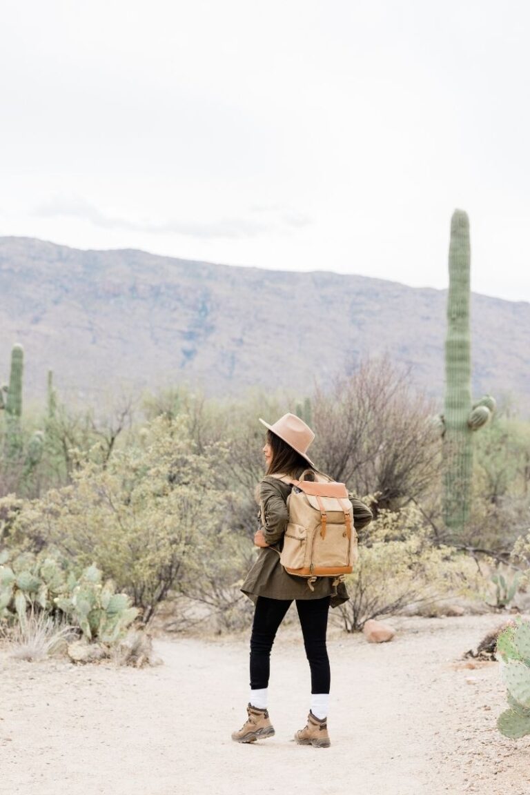 Explore the 15 best walks in Phoenix, Arizona, featuring scenic trails, desert landscapes, and iconic viewpoints. Whether you're a casual walker or a seasoned hiker, find the perfect route for your next adventure! Phoenix Hikes, Hikes In Phoenix Arizona, Phoenix Arizona Hikes, Easy Hikes In Phoenix Arizona, Best Hikes Near Phoenix AZ, Best Hikes In Phoenix Arizona