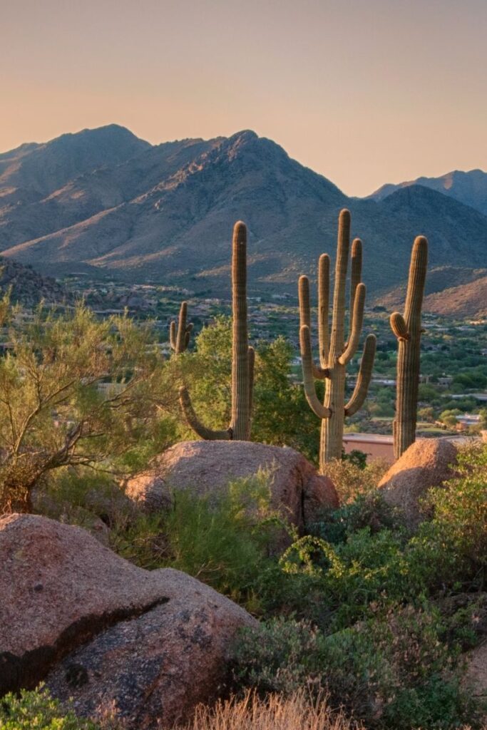Explore the 15 best walks in Phoenix, Arizona, featuring scenic trails, desert landscapes, and iconic viewpoints. Whether you're a casual walker or a seasoned hiker, find the perfect route for your next adventure! Phoenix Hikes, Hikes In Phoenix Arizona, Phoenix Arizona Hikes, Easy Hikes In Phoenix Arizona, Best Hikes Near Phoenix AZ, Best Hikes In Phoenix Arizona