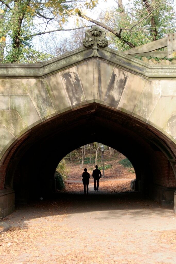 Explore the 15 best walks in NYC, from scenic waterfronts to historic neighborhoods. Explore iconic parks, hidden gems, and cultural hotspots on foot! NYC Walks, Night Walks NYC, Late Night Walks In NYC, Best Walks In NYC, Morning Walks NYC, Best Hikes Near NYC, Hikes Near NYC, Hiking In NYC, Hiking Trails Near NYC, Walking In NYC, Girls Walking NYC, Walking In NYC At Night, Walking In New York Aesthetic, Walking In New York, Walking In The Rain In New York