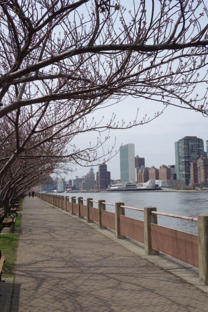 Explore the 15 best walks in NYC, from scenic waterfronts to historic neighborhoods. Explore iconic parks, hidden gems, and cultural hotspots on foot! NYC Walks, Night Walks NYC, Late Night Walks In NYC, Best Walks In NYC, Morning Walks NYC, Best Hikes Near NYC, Hikes Near NYC, Hiking In NYC, Hiking Trails Near NYC, Walking In NYC, Girls Walking NYC, Walking In NYC At Night, Walking In New York Aesthetic, Walking In New York, Walking In The Rain In New York