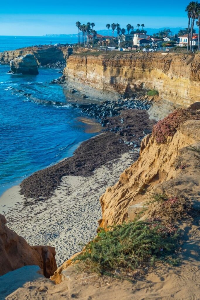 Explore the best walks in San Diego, from coastal trails to historic strolls. Explore scenic views, cultural landmarks, and hidden gems perfect for every type of walker. Best Hikes In San Diego, Family Friendly Hikes, Coastal Hikes, Easy Hikes, San Diego Hikes With Kids, Secret Places, San Diego Hikes, Hiking, Hiking Trails San Diego, Torrey Pines San Diego Hiking, Old Town San Diego State Historic Park, Balboa Park, Torrey Pines State Natural Reserve, Late Night Walks, Walking Around San Diego