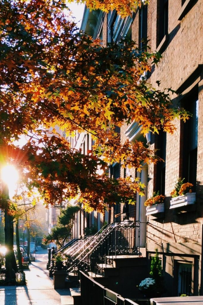 Explore the 15 best walks in NYC, from scenic waterfronts to historic neighborhoods. Explore iconic parks, hidden gems, and cultural hotspots on foot! NYC Walks, Night Walks NYC, Late Night Walks In NYC, Best Walks In NYC, Morning Walks NYC, Best Hikes Near NYC, Hikes Near NYC, Hiking In NYC, Hiking Trails Near NYC, Walking In NYC, Girls Walking NYC, Walking In NYC At Night, Walking In New York Aesthetic, Walking In New York, Walking In The Rain In New York