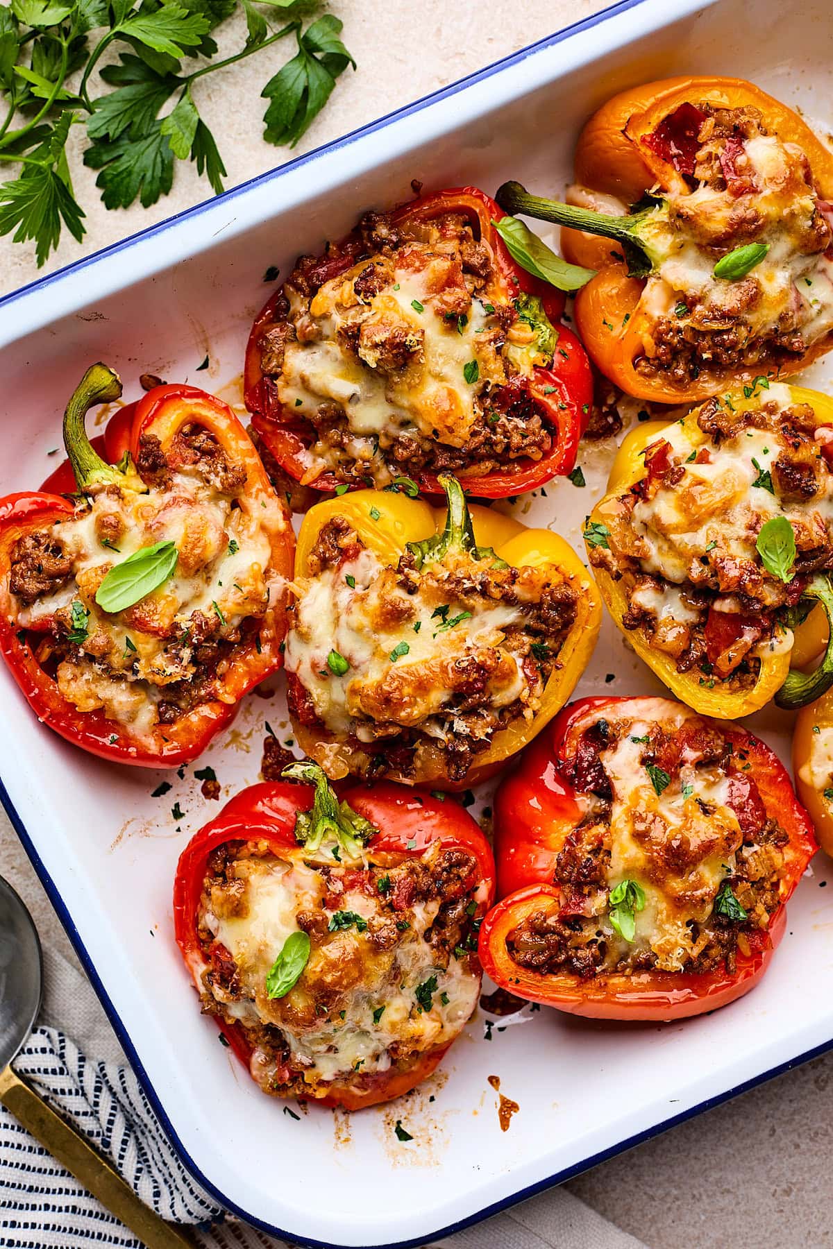 Fresh, easy, and packed with flavor—these summer dinner recipes are perfect for warm nights! From grilled chicken to vibrant pasta salads, find your next go-to meal here. Healthy Summer Dinner Recipes, Summer Dinner Recipes, Summer Recipes Dinner, Light Summer Dinner Recipes, Light Summer Dinner Recipes, Summer Recipes Dinner Easy, Summer Salad Recipes Dinner, Summer Dinner Recipes For Family, Fast Summer Dinner Recipes, Summer Dinner Recipes Grill